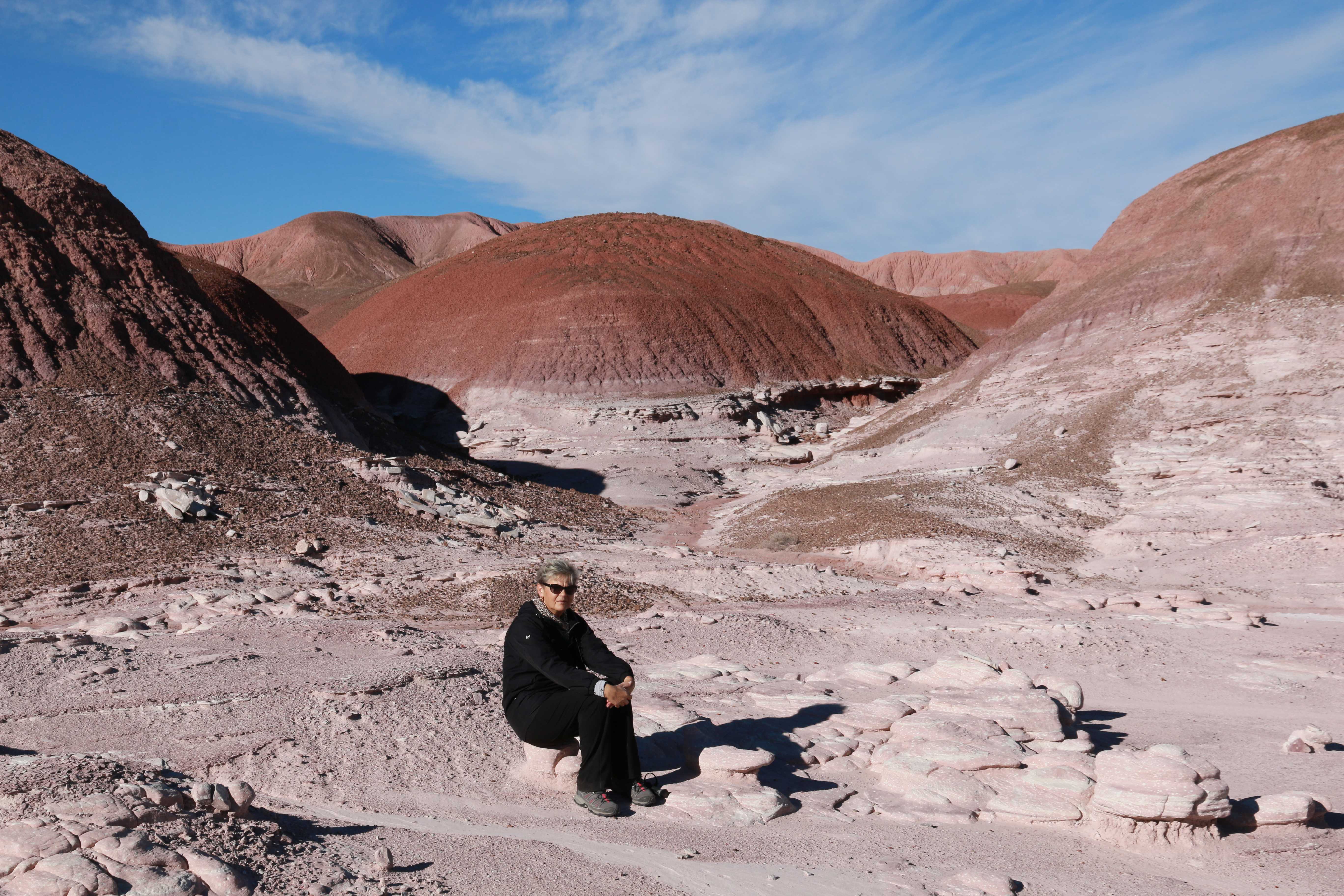 Petrified Forest NP